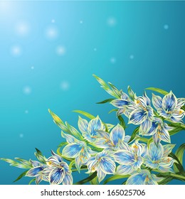 bouquet from the elegant striped gladiolus on a blue background