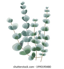 Bouquet of eucalyptus leaves and branches. An element for the design of greeting cards, invitations, booklets and much more. Vector illustration.