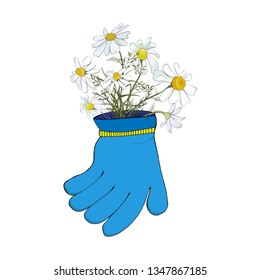 A bouquet of field daisies in a garden glove on a white background. Design for the garden. Vector
