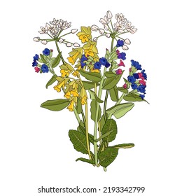 bouquet of field flowers, vector drawing wild plants at white background, flowering meadow, hand drawn botanical illustration