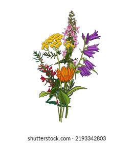 Blumenstrauß, Vektorgrafik von Wildpflanzen auf weißem Hintergrund, Blumenwiese, handgezeichnet botanische Illustration