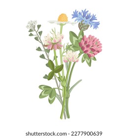 bouquet of field flowers, vector drawing wild plants at white background, floral elements, hand drawn botanical illustration