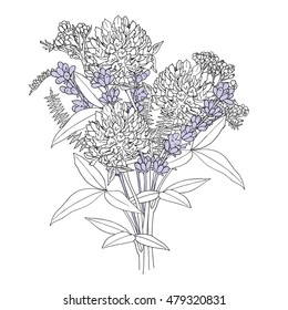 Bouquet from field herbs. Vector illustration. Drawing by hand