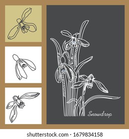 Bouquet of the first spring snowdrops. Set of linear flower patterns.