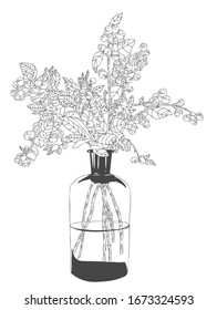 Bouquet floristry vector black and wight illustration. boutonniere for the groom. Flowers for floristry. 