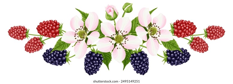 A bouquet with a flower and a blackberry berry. Botanical border.  A garden plant with pink flowers, green leaves and bright red and black berries. Vector illustration.