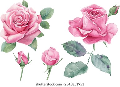 Bouquet flower roses watercolor painted clipart