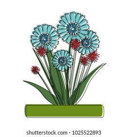 Bouquet of flowers