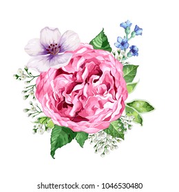 Bouquet of flowers (austin rose, apple tree flower, gypsophila) isolated on white background. Floral composition in watercolor style. All elements are editable. Art vector illustration.