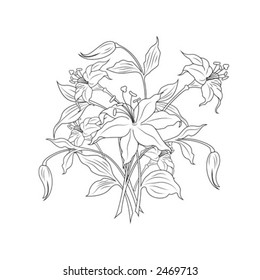 bouquet of flowers in black and white colors, vector illustration