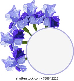 bouquet of Flowers blue iris on a white background

