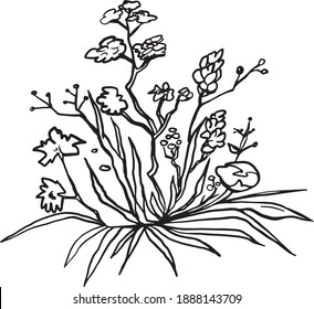 bouquet of flowers freehand drawing. linear clipart design for packaging, cards, decoration for wedding, gift, vegan or vegetarian menu. natural  style old school tattoo wildflowers set