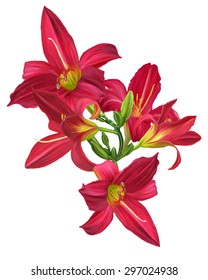 bouquet of flowers isolated lily red