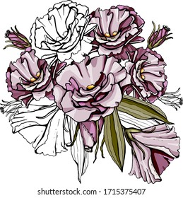 Bouquet of flowers. Isolated over white background. Vector graphics.