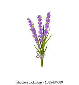 Bouquet of flowers and leaves. Vector illustration.
