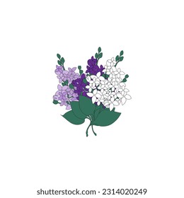 Bouquet of flowers lilac, purple and white.