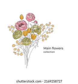 A bouquet of flowers in minimalist graphics: Pion, Tulip, Ranunculus, Eucalyptus. Concept for a postcard. Line art.