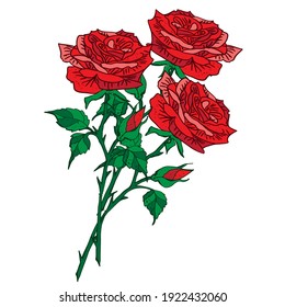 Bouquet flowers with red roses and leaves, isolated on white backgrouind Floral greeting card and invitation of the wedding, birthday, Valentine's Day, other holidays vector