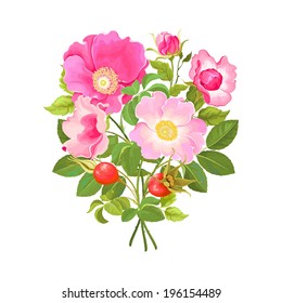 Bouquet of flowers and rose hips, vector illustration.