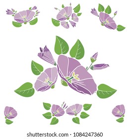 A bouquet of flowers. Suitable for use in postcards, invitations, banners, flyers and logos