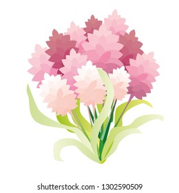 Bouquet Flowers turmeric.
Blooming flowers of turmeric illustration.