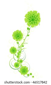 bouquet of flowers, vector illustration