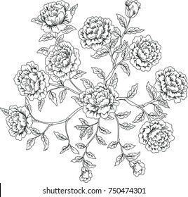 bouquet of flowers, vector illustration