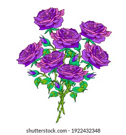 Bouquet flowers with violet roses and leaves, isolated on white backgrouind Floral greeting card and invitation of the wedding, birthday, Valentine's Day, other holidays vector