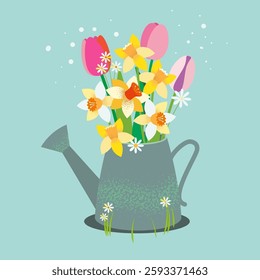 A bouquet of flowers in a watering can. daffodil, tulip