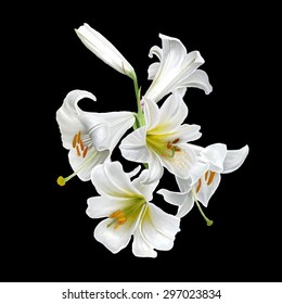  bouquet of flowers white lily isolated