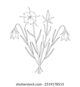 Bouquet of four flowers and leaves. Bunch of blooming perennial wildflowers. Line art, minimal style, contour plants. Botanical hand-drawn elements for design projects. Vector illustration