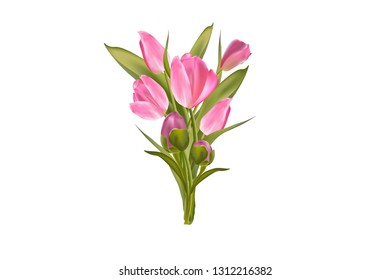 A bouquet of gently pink tulips and peony buds. Realistic flowers on a white background. Vector illustration.