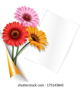 bouquet of gerberas on a white background