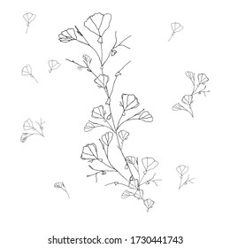 Bouquet hand drawn illustration. Coloring page. Vector line art. Doodle style. Flowers illustration, isolated black on white background