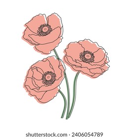 Bouquet of hand drawn red wildflower poppies. Illustration, vector