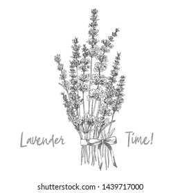 Bouquet of hand drawn sketch of Lavender flower and cute bows isolated on white background. France provence retro pattern for romantic fresh design concept Natural lavander Vintage vector illustration