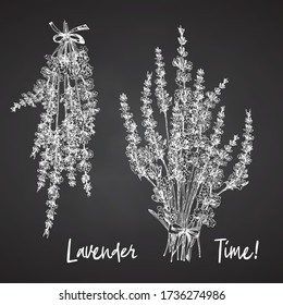 Bouquet of hand drawn sketch of Lavender flower and cute bows isolated on chalkboard background. France provence retro pattern for romantic fresh design concept Natural lavander Vintage style Vector