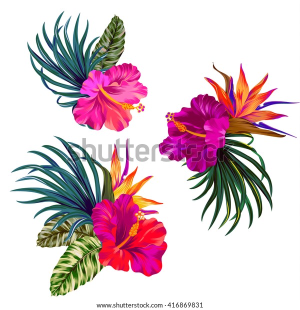 Bouquet with hibiscus flowers with pink petals,\
tropical leaves, and floral elements on white background.\
Watercolor with summer garden and wild flowers. design frame with\
vector botanical\
elements.