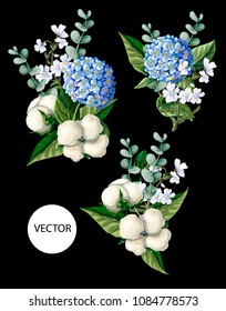 Bouquet  with Hortensia, cotton flowers and eucalyptus branches  on a black background. Vector illustration