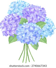 Bouquet of Hydrangea painted in watercolor