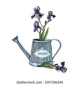 A bouquet with iris violet flowers in a watering can. Hand drawn graphic and colored sketch. Vector illustration.