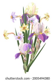 Bouquet Irises and daffodils (narcissus), blue purple flowers, green leaves. First spring blossom, symbol Christmas. Digital illustration in watercolor style for wedding anniversary, vintage, vector