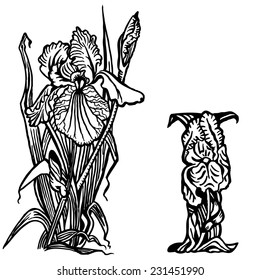 Bouquet of irises, flowers and leaves. Letter I.