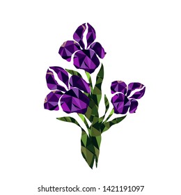 Bouquet of irises in low poly style. Vector illustration.