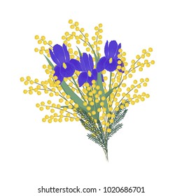 Bouquet of irises and mimosa on a white background. Spring flowers. Floral composition. Vector illustration.