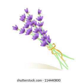 Bouquet of lavender