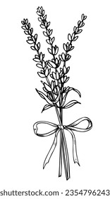 Bouquet of Lavender Flowers with ribbon. Hand drawn vector illustration on white isolated background in outline style for greeting cards or wedding invitations. Floral Province drawing. Black line art