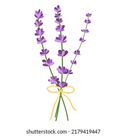 Bouquet Lavender Flowers Vector Illustration Lavender Stock Vector ...