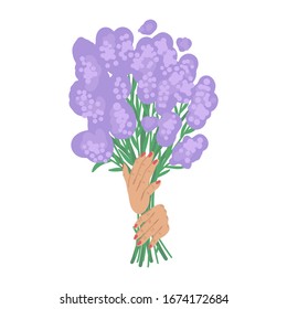 Bouquet of lavender in hands. Isolated on white background Vector illustration