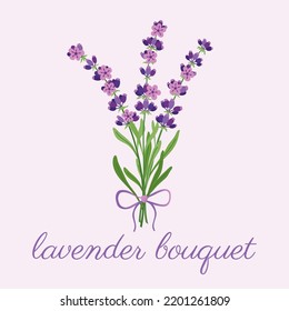 Bouquet of lavender herb. Original, hand-drawn illustration. Ideal for packaging, cooking, baby products, tea, healthcare, etc. Flower Lavender, Lavandula. Summer herb.